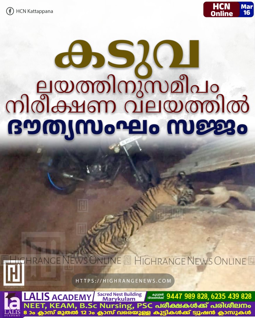കടുവ ലയത്തിനുസമീപം നിരീക്ഷണ വലയത്തില്: ദൗത്യസംഘം സജ്ജം