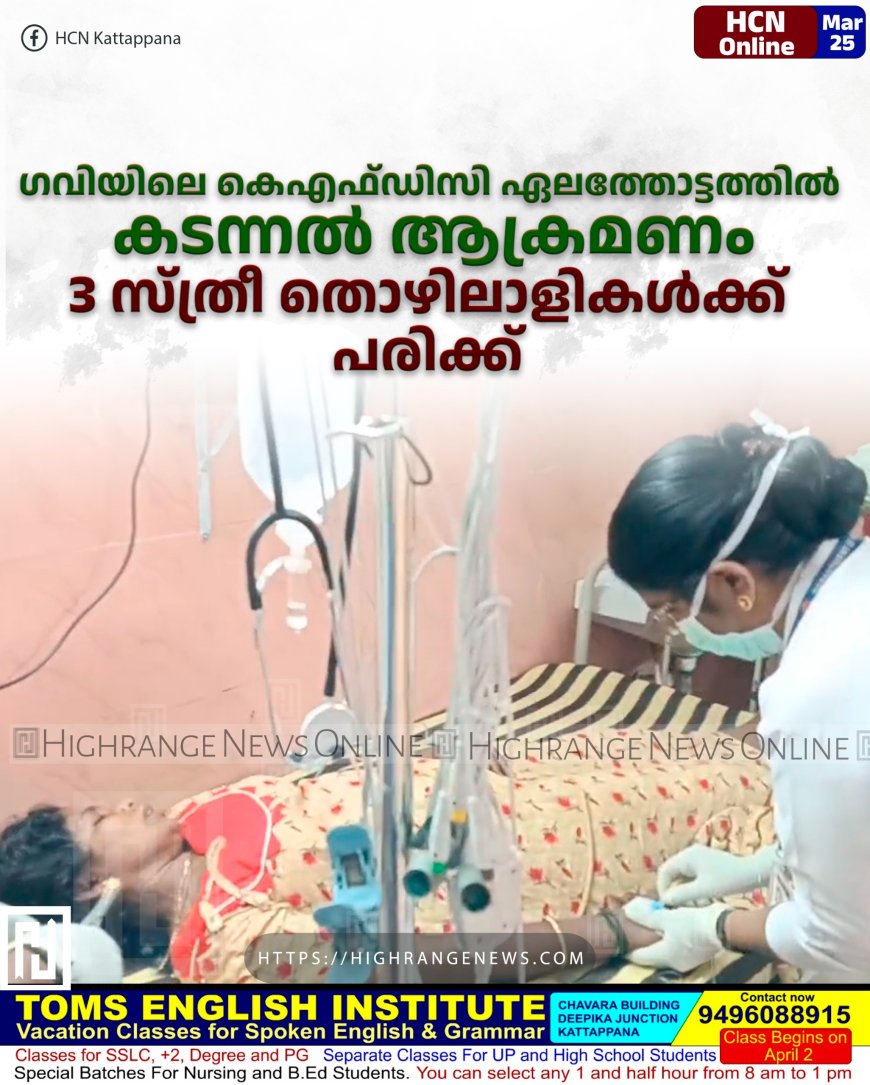  ഗവിയിലെ കെഎഫ്ഡിസി ഏലത്തോട്ടത്തില്‍ കടന്നല്‍ ആക്രമണം: 3 സ്ത്രീ തൊഴിലാളികള്‍ക്ക് പരിക്ക് 