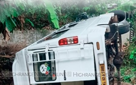 വിനോദ സഞ്ചാരികളുടെ ട്രാവലര്‍ മറിഞ്ഞു: ഒരാള്‍ക്ക് പരിക്ക്