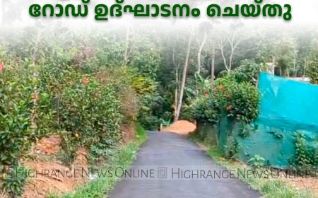 കട്ടപ്പന കൊച്ചുതോവാള- പുളിക്കല്‍പ്പടി റോഡ് ഉദ്ഘാടനം ചെയ്തു