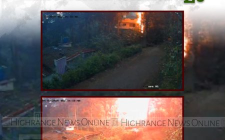 ഇരുപതേക്കറില്‍ ഇടിമിന്നലേറ്റ് മരത്തിന് തീപിടിച്ചു