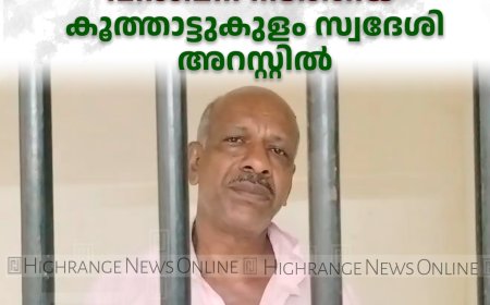 തങ്കമണിയില്‍ വ്യാജമദ്യം നിര്‍മിച്ച് വില്‍പ്പന നടത്തിയ കൂത്താട്ടുകുളം സ്വദേശി അറസ്റ്റില്‍ 