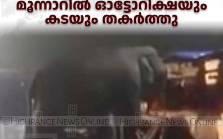 പടയപ്പ വീണ്ടും കലിപ്പില്‍: മൂന്നാറില്‍ ഓട്ടോറിക്ഷയും കടയും തകര്‍ത്തു