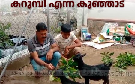  ഗിന്നസ് റെക്കോര്‍ഡ് നേടി ലിനു പീറ്ററിന്റെ  കറുമ്പി എന്ന കുഞ്ഞാട് 
