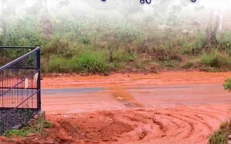 കട്ടപ്പന ഇരുപതേക്കര്‍ - പൊതുശ്മശാനം റോഡില്‍ യാത്രാക്ലേശം രൂക്ഷം