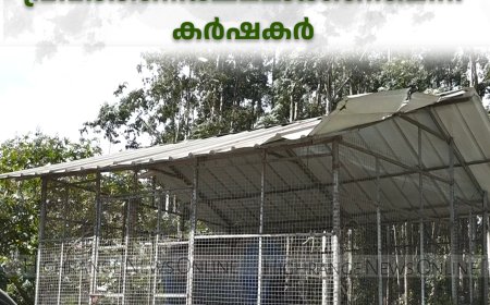 വട്ടവടയിലെ ക്യാരറ്റ് ശുചീകരണ യൂണിറ്റുകള്‍ പ്രവര്‍ത്തനക്ഷമമാക്കണമെന്ന് കര്‍ഷകര്‍ 