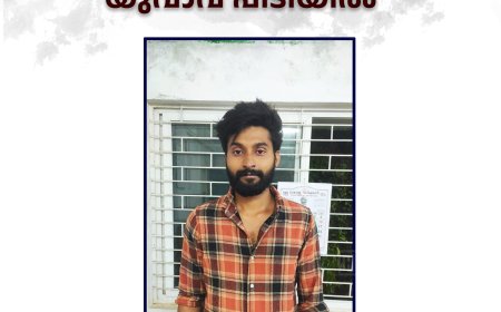 കഞ്ചാവുമായി കാസര്‍ഗോഡ് സ്വദേശി കട്ടപ്പനയില്‍ പിടിയില്‍