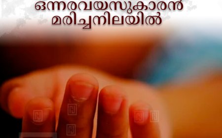 പൂപ്പാറയില്‍ പടുതാക്കുളത്തില്‍ ഒന്നരവയസുകാരന്‍ മരിച്ചനിലയില്‍ 