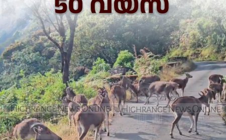 ഇരവികുളം ദേശീയോദ്യാനത്തിന് 50 വയസ്