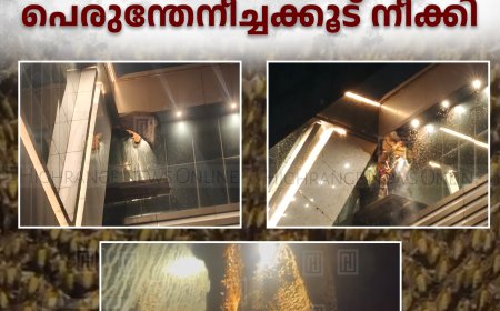 കട്ടപ്പന നഗരത്തിലെ കെട്ടിടത്തില്‍നിന്ന് പെരുന്തേനീച്ചക്കൂട് നീക്കി