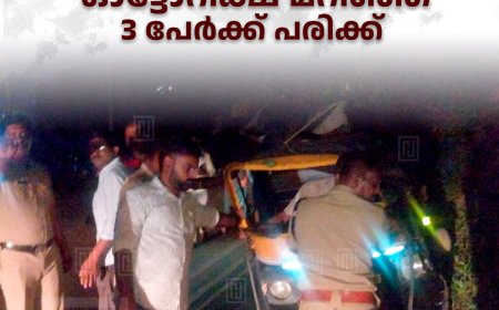  വെട്ടിക്കുഴക്കവലയില്‍ ഓട്ടോറിക്ഷ മറിഞ്ഞ് 3 പേര്‍ക്ക് പരിക്ക് 