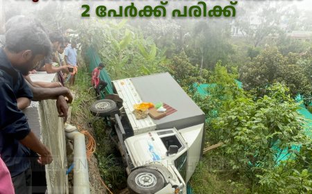 കട്ടപ്പന ഇരുപതേക്കറില്‍ പിക്കപ്പ് വാന്‍ കുഴിയിലേയ്ക്ക് മറിഞ്ഞ് അപകടം: 2 പേര്‍ക്ക് പരിക്ക്