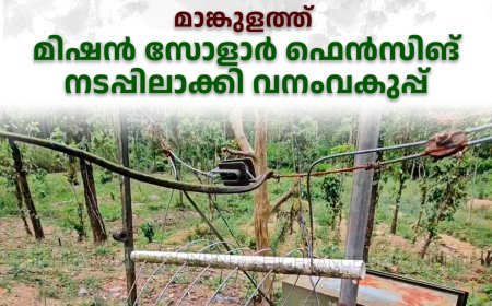മാങ്കുളത്ത് മിഷന് സോളാര് ഫെന്സിങ് നടപ്പിലാക്കി വനംവകുപ്പ്