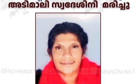 വാഹനാപകടത്തില്‍ പരിക്കേറ്റ് ചികിത്സയിലായിരുന്ന അടിമാലി സ്വദേശിനി  മരിച്ചു 