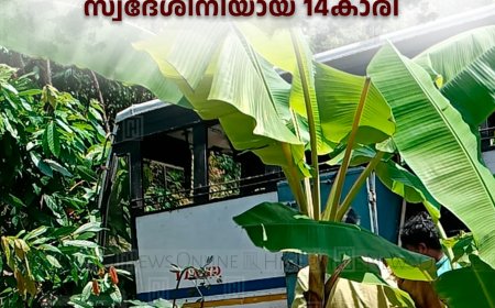 നേര്യമംഗലം ബസ് അപകടം: മരിച്ചത് കീരിത്തോട് സ്വദേശിനിയായ 14കാരി