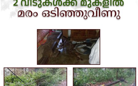 കട്ടപ്പന മേട്ടുക്കുഴിയിൽ 2 വീടുകൾക്ക്‌ മുകളിൽ മരം ഒടിഞ്ഞുവീണു