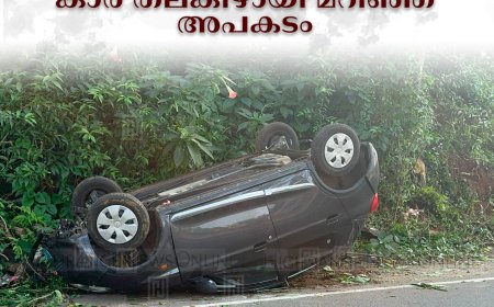  കുട്ടിക്കാനത്ത് കാര്‍ തലകീഴായി മറിഞ്ഞ് അപകടം