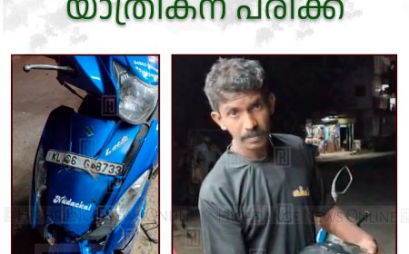 ഇടുക്കിയില്‍ മ്ലാവ് സ്‌കൂട്ടറില്‍ ഇടിച്ച് യാത്രികന് പരിക്ക്  
