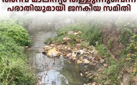 വണ്ടിപ്പെരിയാര്‍ ചോറ്റുപാറ തോട്ടിലേയ്ക്ക് അറവ് മാലിന്യം തള്ളുന്നുവെന്ന പരാതിയുമായി ജനകീയ സമിതി 