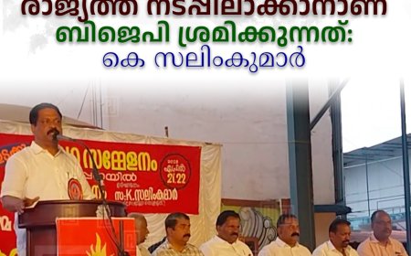 ആര്‍എസ്എസിന്റെ അജണ്ട രാജ്യത്ത് നടപ്പിലാക്കാനാണ് ബിജെപി ശ്രമിക്കുന്നത്: കെ സലിംകുമാര്‍