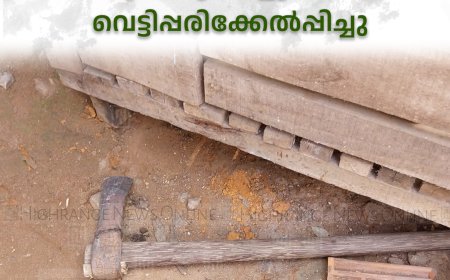 കട്ടപ്പന കുന്തളംപാറയില്‍ വയോധികയെ മകനും മരുമകളും ചേര്‍ന്ന് വെട്ടിപ്പരിക്കേല്‍പ്പിച്ചു