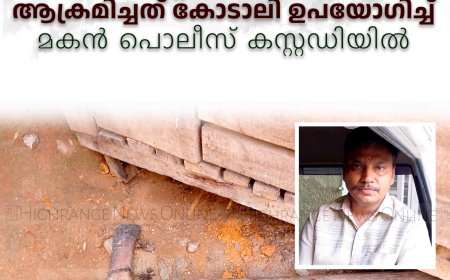 കട്ടപ്പനയില്‍ വൃദ്ധയ്ക്കുനേരെ മകന്റെ ക്രൂരമര്‍ദനം: ആക്രമിച്ചത് കോടാലി ഉപയോഗിച്ച്: മകന്‍ പൊലീസ് കസ്റ്റഡിയില്‍