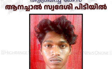 ഡിവൈഎഫ്‌ഐ പ്രവര്‍ത്തകരെ ആക്രമിച്ച കേസ്: ആനച്ചാല്‍ സ്വദേശി പിടിയില്‍