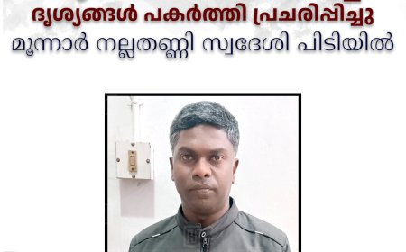 യുവതിയെ പീഡിപ്പിച്ച് ദൃശ്യങ്ങള്‍ പകര്‍ത്തി പ്രചരിപ്പിച്ചു: മൂന്നാര്‍ നല്ലതണ്ണി സ്വദേശി പിടിയില്‍