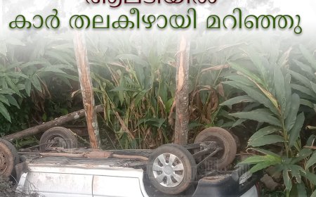 ആലടിയിൽ കാർ തലകീഴായി മറിഞ്ഞു