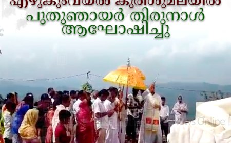 എഴുകുംവയല്‍ കുരിശുമലയില്‍ പുതുഞായര്‍ തിരുനാള്‍ ആഘോഷിച്ചു