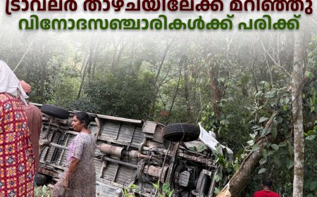 മാങ്കുളം ആനക്കുളത്ത് ട്രാവലര്‍ താഴ്ചയിലേക്ക് മറിഞ്ഞു: വിനോദസഞ്ചാരികള്‍ക്ക് പരിക്ക്