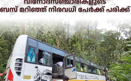 ബൈസണ്‍വാലി കോമാളിക്കുടിയില്‍ വിനോദസഞ്ചാരികളുടെ ബസ് മറിഞ്ഞ്  നിരവധി പേര്‍ക്ക് പരിക്ക് 
