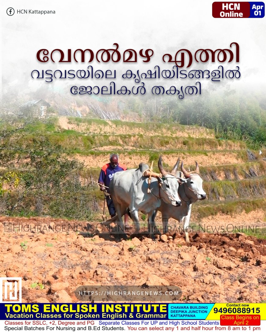 വേനല്‍മഴ എത്തി: വട്ടവടയിലെ കൃഷിയിടങ്ങളില്‍ ജോലികള്‍ തകൃതി 
