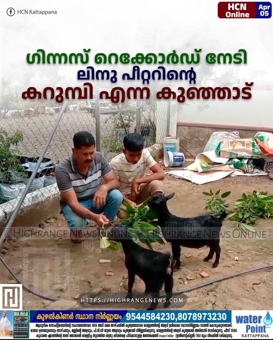 ഗിന്നസ് റെക്കോര്ഡ് നേടി ലിനു പീറ്ററിന്റെ കറുമ്പി എന്ന കുഞ്ഞാട്