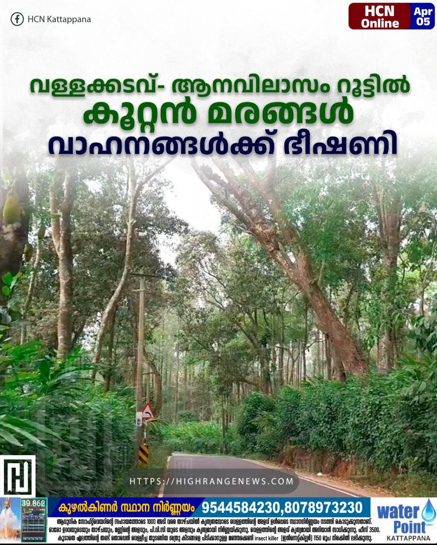 വള്ളക്കടവ്- ആനവിലാസം റൂട്ടില് കൂറ്റന് മരങ്ങള് വാഹനങ്ങള്ക്ക് ഭീഷണി
