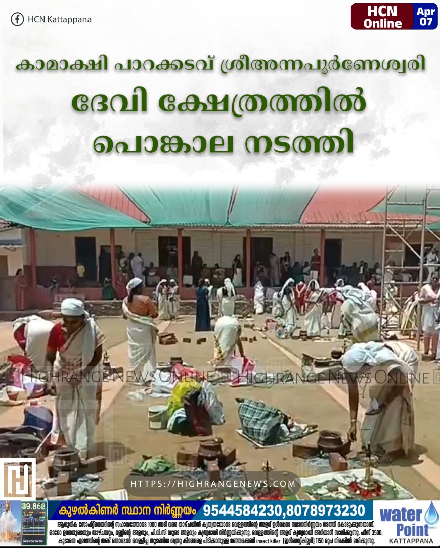 കാമാക്ഷി പാറക്കടവ് ശ്രീഅന്നപൂര്ണേശ്വരി ദേവി ക്ഷേത്രത്തില് പൊങ്കാല നടത്തി