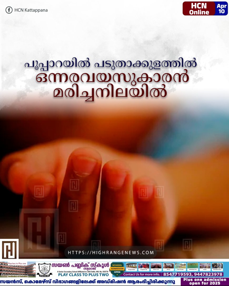പൂപ്പാറയില്‍ പടുതാക്കുളത്തില്‍ ഒന്നരവയസുകാരന്‍ മരിച്ചനിലയില്‍ 