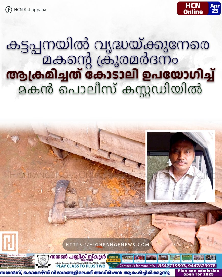 കട്ടപ്പനയില്‍ വൃദ്ധയ്ക്കുനേരെ മകന്റെ ക്രൂരമര്‍ദനം: ആക്രമിച്ചത് കോടാലി ഉപയോഗിച്ച്: മകന്‍ പൊലീസ് കസ്റ്റഡിയില്‍
