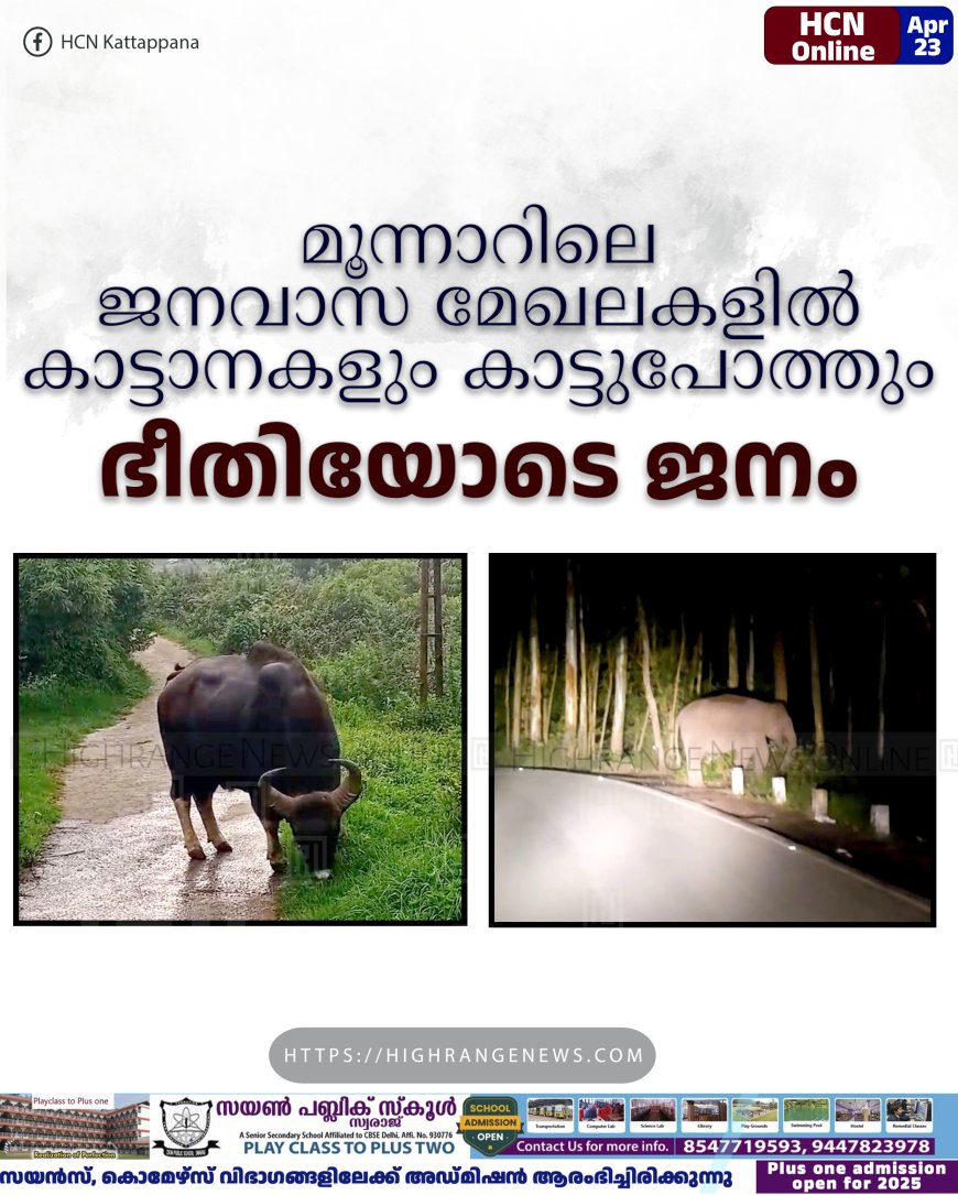 മൂന്നാറിലെ ജനവാസ മേഖലകളില്‍ കാട്ടാനകളും കാട്ടുപോത്തും: ഭീതിയോടെ ജനം