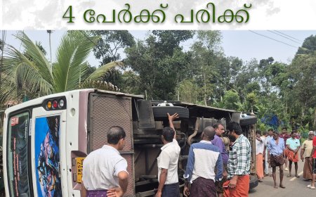 ബൈസണ്‍വാലിയില്‍ മിനി ബസ് മറിഞ്ഞ് 4 പേര്‍ക്ക് പരിക്ക് 