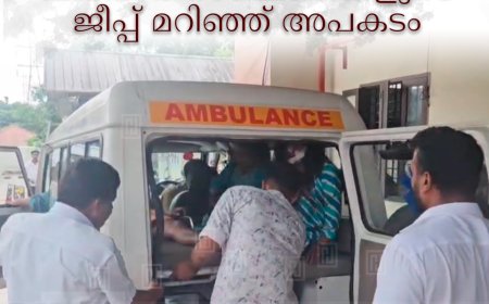    ആനക്കുളത്ത് വിനോദ സഞ്ചാരികളുടെ ജീപ്പ് മറിഞ്ഞ് അപകടം 