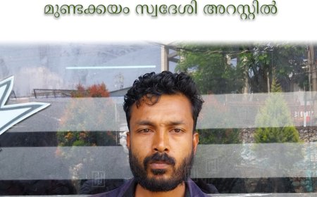 കട്ടപ്പന പാറക്കടവിലെ തോട്ടത്തില്‍നിന്ന് പച്ച ഏലക്ക മോഷ്ടിച്ച മുണ്ടക്കയം സ്വദേശി അറസ്റ്റില്‍  