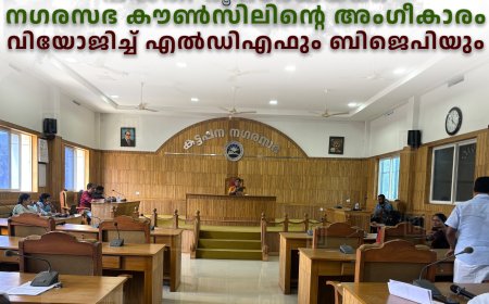 കട്ടപ്പന തണലിടം ഓപ്പണ്‍ പാര്‍ക്കിന്റെ പദ്ധതി രൂപരേഖയ്ക്ക് നഗരസഭ കൗണ്‍സിലിന്റെ അംഗീകാരം: വിയോജിച്ച് എല്‍ഡിഎഫും ബിജെപിയും