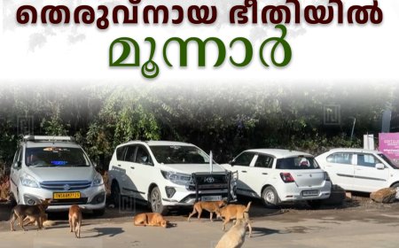 തെരുവ്‌നായ ഭീതിയില്‍ മൂന്നാര്‍