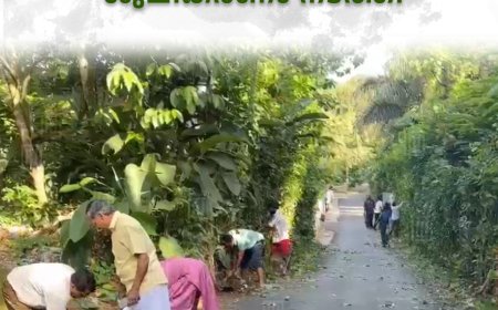 കട്ടപ്പന ഗാന്ധിനഗര് റെസിഡന്റ്സ് അസോസിയേഷന് ശുചീകരണം നടത്തി
