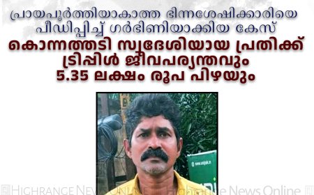 പ്രായപൂര്‍ത്തിയാകാത്ത ഭിന്നശേഷിക്കാരിയെ പീഡിപ്പിച്ച് ഗര്‍ഭിണിയാക്കിയ കേസ്: കൊന്നത്തടി സ്വദേശിയായ പ്രതിക്ക് ട്രിപ്പിള്‍ ജീവപര്യന്തവും 5.35 ലക്ഷം രൂപ പിഴയും