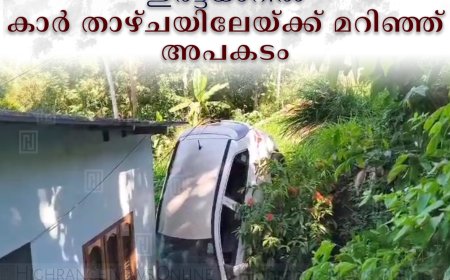 ഇരട്ടയാറില്‍ കാര്‍  താഴ്ചയിലേയ്ക്ക് മറിഞ്ഞ് അപകടം 