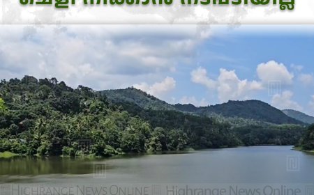 കല്ലാര്‍കുട്ടി ഡാമിലെ ചെളി നീക്കാന്‍ നടപടിയില്ല