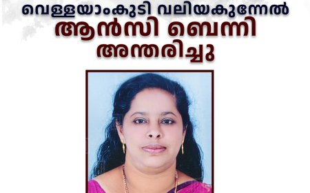 വെള്ളയാംകുടി വലിയകുന്നേൽ ആൻസി ബെന്നി അന്തരിച്ചു.