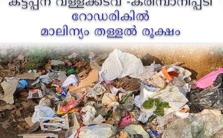 വള്ളക്കടവ് -കരിമ്പാനിപ്പടി റോഡരികില്‍ മാലിന്യം തള്ളല്‍ രൂക്ഷം 